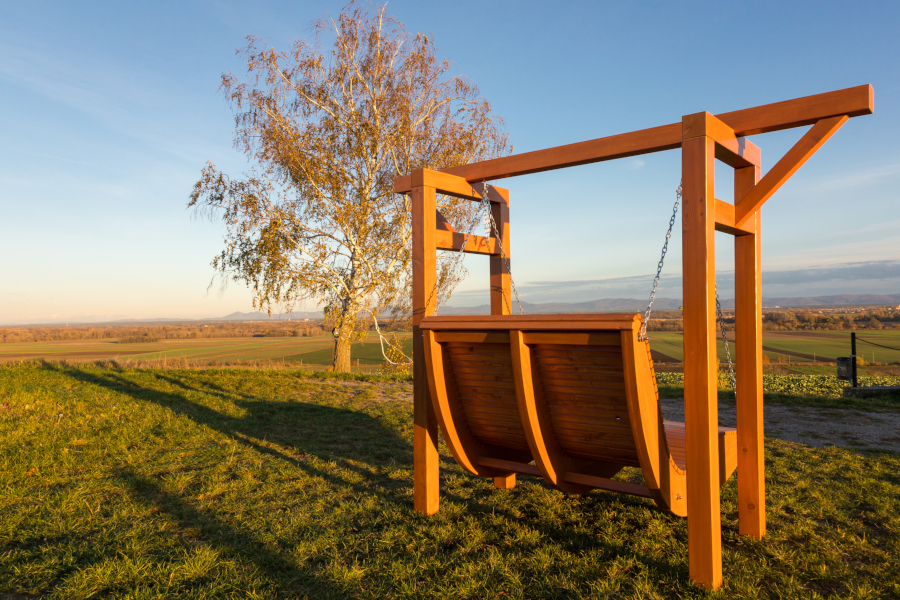 Gartenschaukel in Lärche massiv von hinten