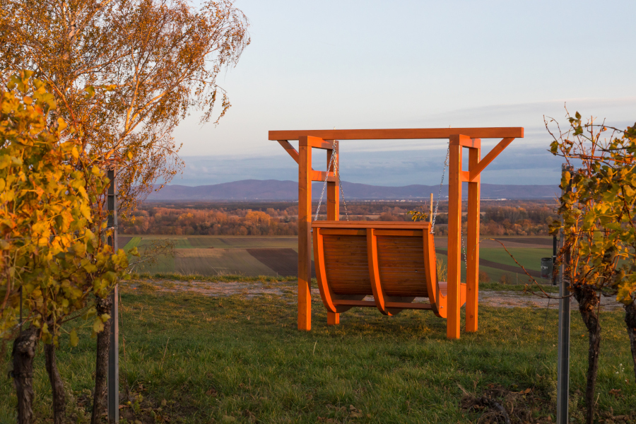 Gartenschaukel in Lärche massiv von hinten